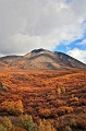Yukon wilderness 008 Copyright Villayat Sunkmanitu